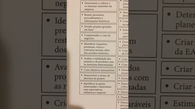 Iniciação e Encerramento - PMP - livro da Rita Mulcahy. смотреть онлайн
