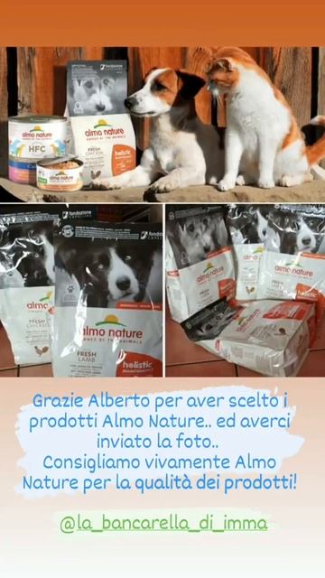 Almo Nature il top! смотреть онлайн