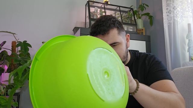 Roślinne Porażki 🖤 Roślinne Sukcesy 💚 Przegląd Moich Roślin 🌿 VLOG Roślinny 🌿