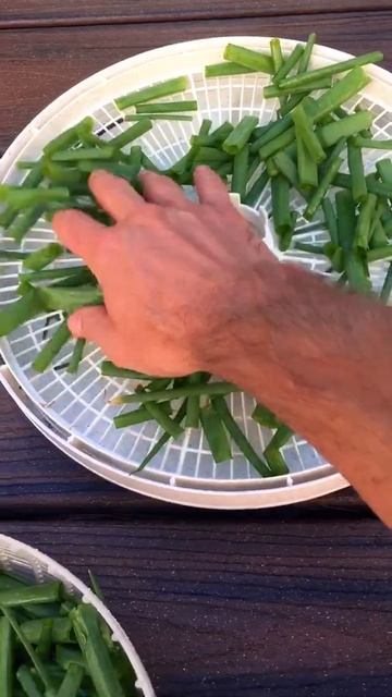 Top Onions For Bigger Bulbs And Make Onion Powder | Gardening Tips Organic Garden Onion Tricks смотреть онлайн
