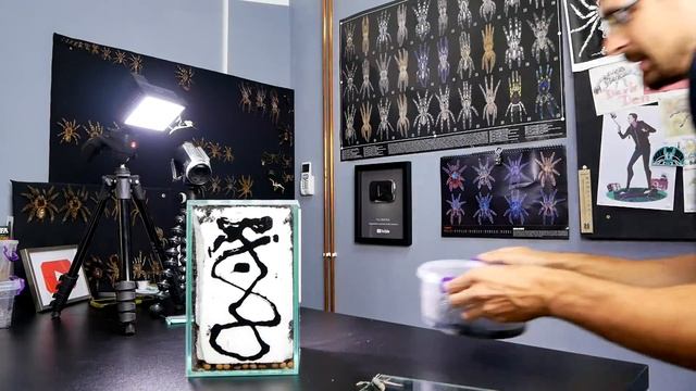 BIG BIGGER BIIIIIIIGER! смотреть онлайн