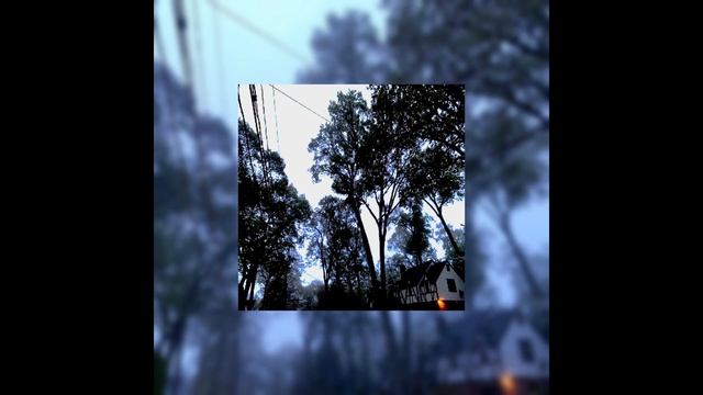 Sqwore-Сига(slowed + reverb) смотреть онлайн
