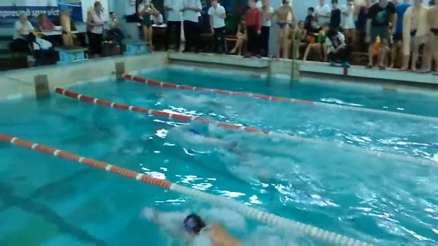 Pavel Pleshka. 100м - Брасс, 30.01.2016, Зимний Чемпионат Молдовы 