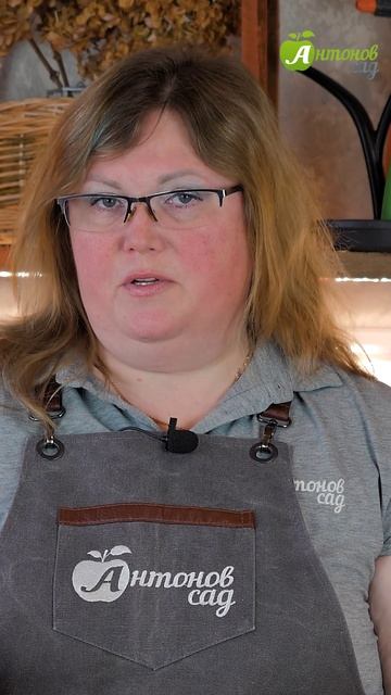 Грунт для рассады томатов смотреть онлайн