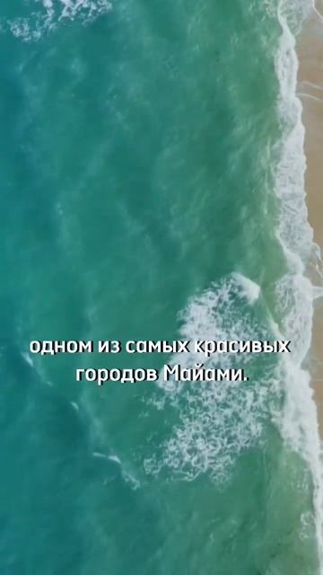 Хотели бы вы жить и учиться в Майами? #englishschool #Английский смотреть онлайн