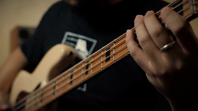 CHEVELLE - Same Old Trip | Bass Cover смотреть онлайн