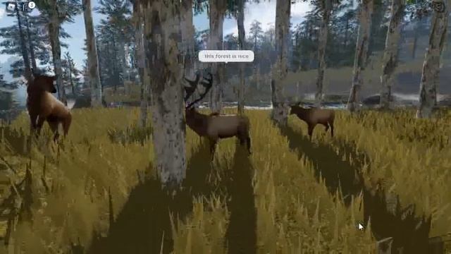 part 2 of elk herd смотреть онлайн