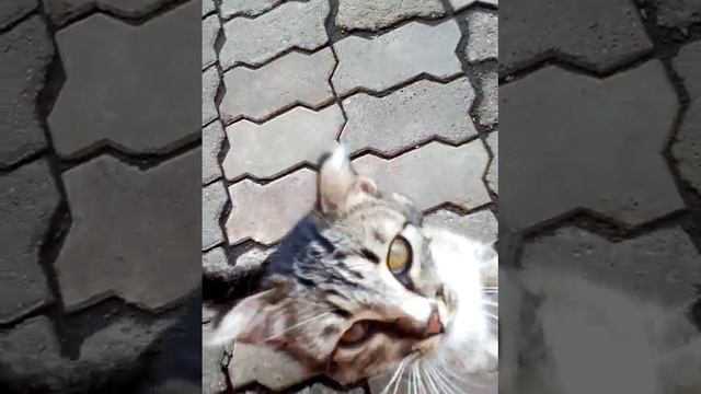Улики призрака Маши 3# смотреть онлайн
