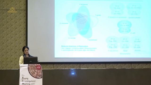 After the malaria parasite turned out to be a plant by Saman Habib смотреть онлайн