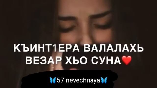Доггаха везачу к|антах а яьлла.☺️💔 смотреть онлайн