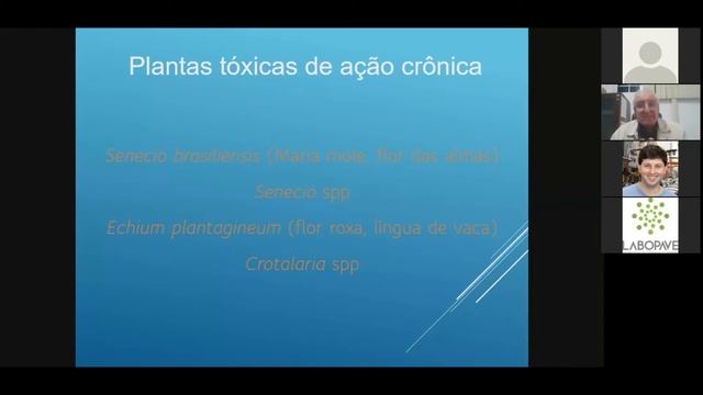 Uma abordagem generalista acerca das plantas tóxicas na veterinária смотреть онлайн