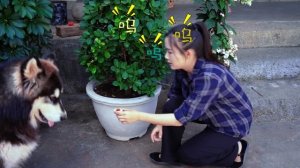 我和大王的故事～【滇西小哥】