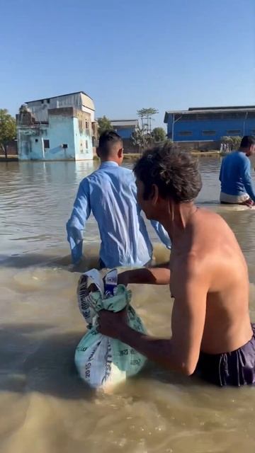 Silver Carp Fish,Shivering,Early Morning,Fishing in Winter,Chilled Water- Village Fishing смотреть онлайн
