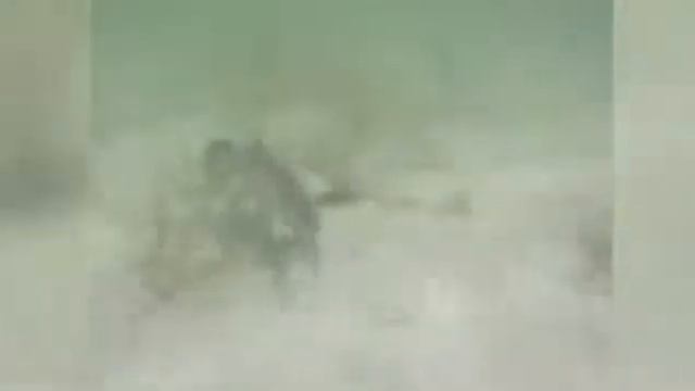 Узбекский краб смотреть онлайн