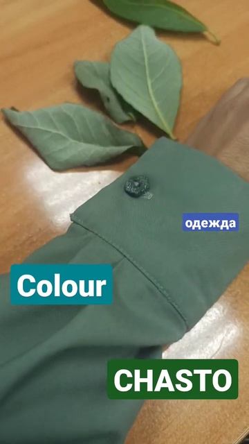 летняя природа средней полосы, зелёный цвет платьев, рубашек, брюк CHASTO, листья, лето в Москве