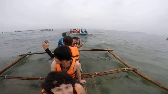 Going to swim with whale sharks смотреть онлайн