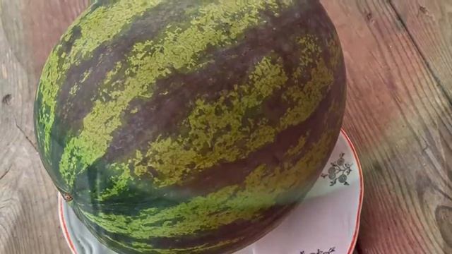 Первый пошел! смотреть онлайн