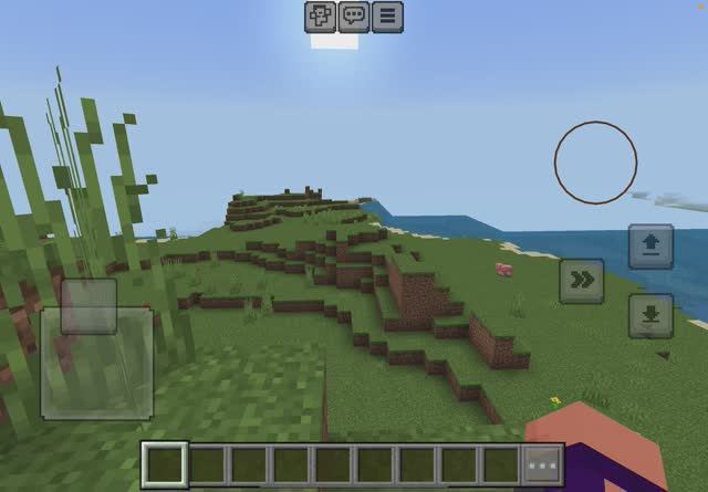 Я играю в Minecraft выживание