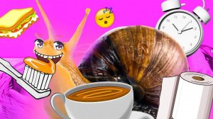 Утро в белом цвете глазами улитки блогера — челлендж!