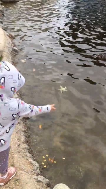 HAVING FUN AT THE PARK #toddlers #kids #happy #happiness #shorts #fypシ #fyp #foryou #cute #funny смотреть онлайн