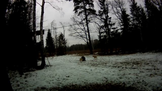 FILE0005 смотреть онлайн