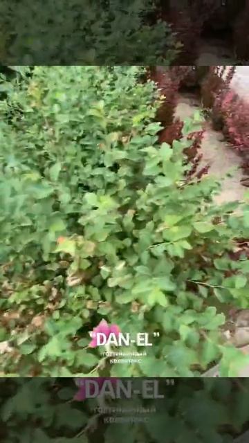 Гостиничный комплекс "DAN-EL" озеро Зеренда. смотреть онлайн