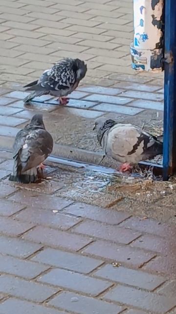 водные процедуры