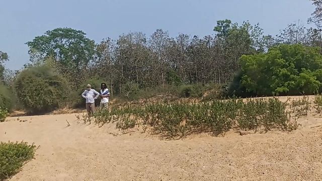 #nature lover # hariharapura Tunga river смотреть онлайн
