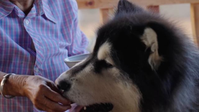 我有世界上最爱我的奶奶，她也是我见过最爱笑的人。【滇西小哥】