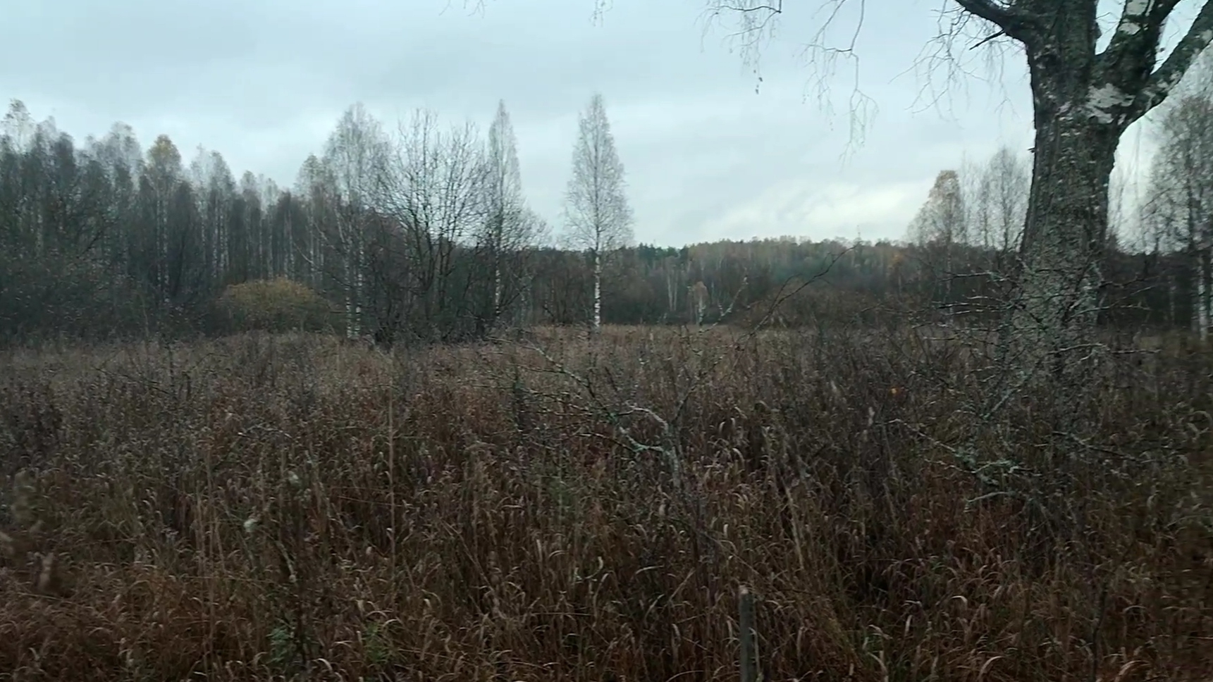 Вот так плюхи под конец копа!Откуда в таком месте такие детали? смотреть онлайн