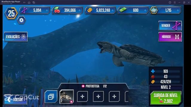 Protostega a alimentar-se!!! смотреть онлайн