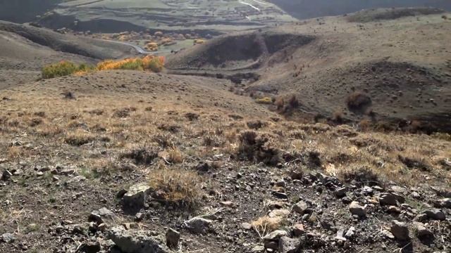 2021-2022 KEKLİK AVI  (AÇILIŞ) #kınalıkeklik #keklikavı #partridgehunting #setterkaptannemo