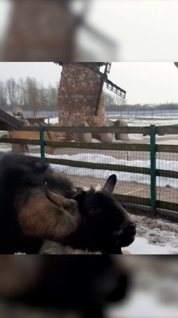 я боюсь #приколы смотреть онлайн