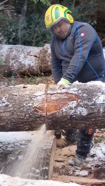 Holzstamm gesägt #shorts #wald #Stihl #motorsäge #bagger #bobcat #kinshofer #greifer смотреть онлайн