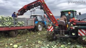 Капустоуборочный комбайн VANHOUCKE серии CHWL (Бельгия)