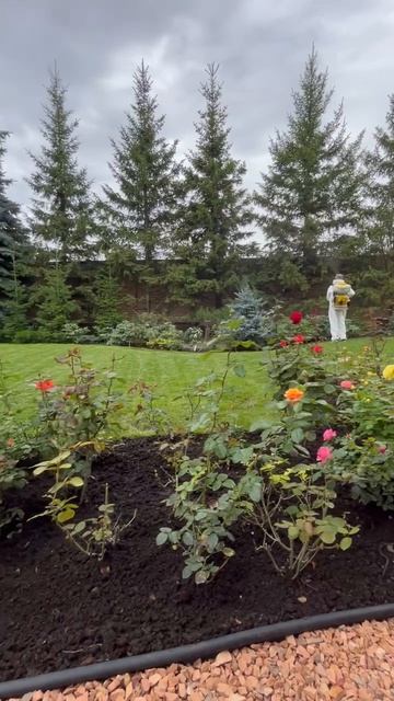 Служба Дезинфекции Доверие