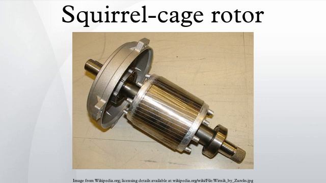 Squirrel-cage Rotor
