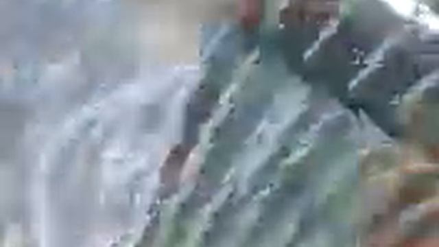 Амба смотреть онлайн