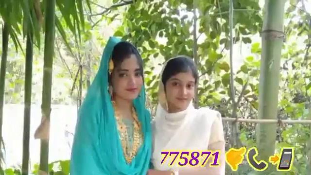 Best Singer Kawal Nasir And Mr Mojib Love 💕 Story Tarana смотреть онлайн