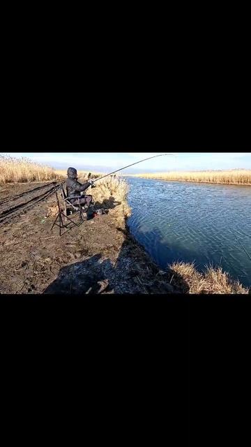 Открытие фидерного сезона 2025 трейлер! смотреть онлайн