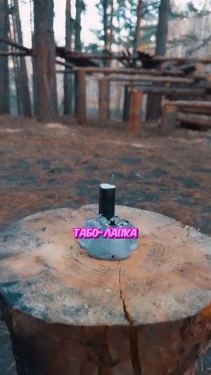 🚀 уничтожил свои игрушки 🚀 #попит #владзакроев #таболапка #эксперимент #shorts #смешноевидео