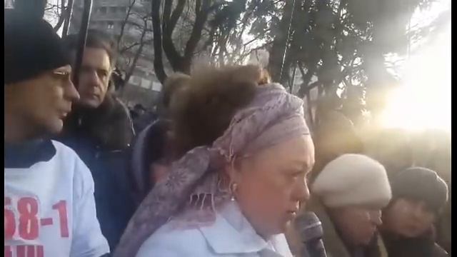 24.11.2015г. Выступление Юли Сало перед ВРУ