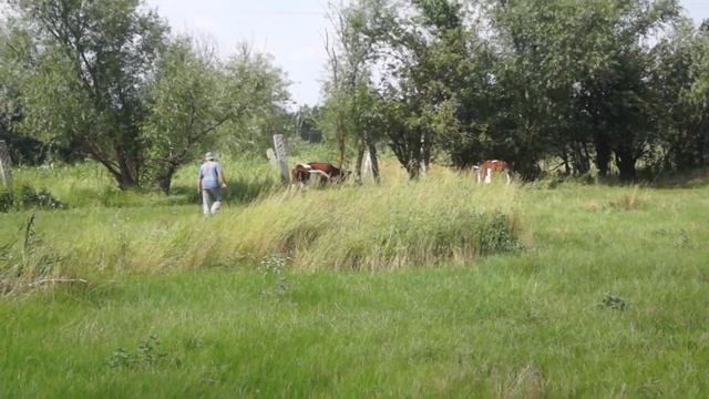 Василий в хозяйстве! смотреть онлайн