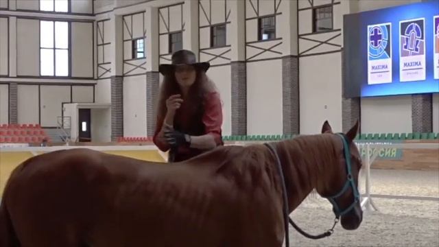 Диалог и Дружба смотреть онлайн