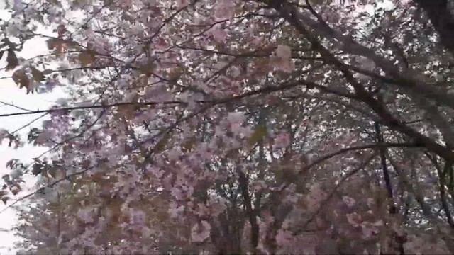 Tales From Southam Mexico