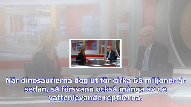 Fossilfyndet Avslöjar Jättepingvinen