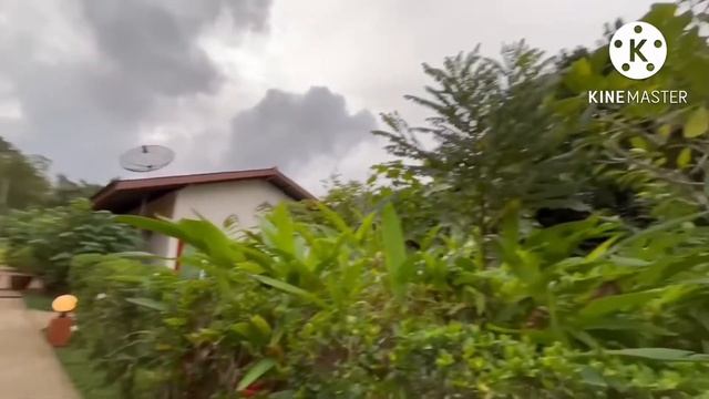Jasmine garden resort khao sok смотреть онлайн