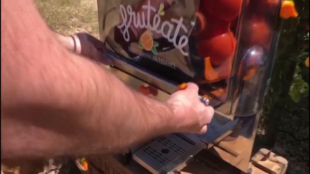 Automatic Orange Juicer Ready to Drink by Frutéate® смотреть онлайн