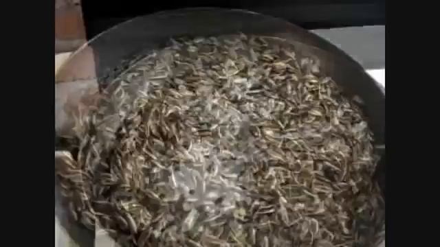 RECETA DE COMO TOSTAR LAS SEMILLAS DE GIRASOL смотреть онлайн