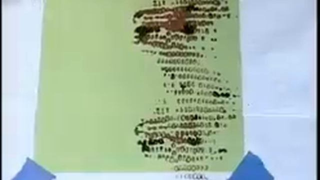 DIY Snake Frame Using Elmer's® Squeeze N Brush® Washable Paint Brushes And Opaque Painters® Markers